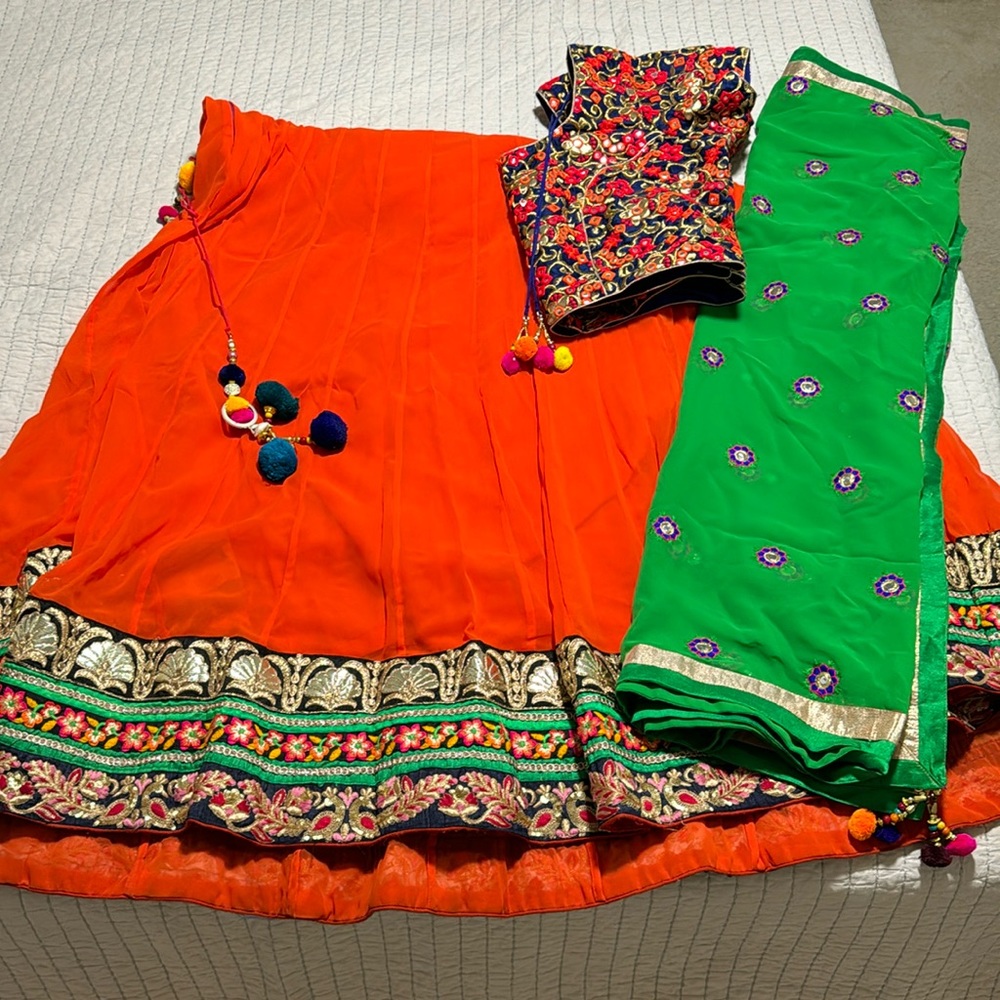 Traditional Lehnga with heavy blouse
